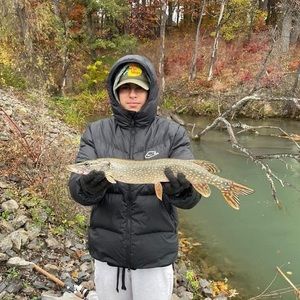 Meet your Posher, Leland